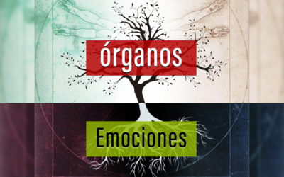 ÓRGANOS DEL CUERPO – RELACIÓN CON LAS EMOCIONES